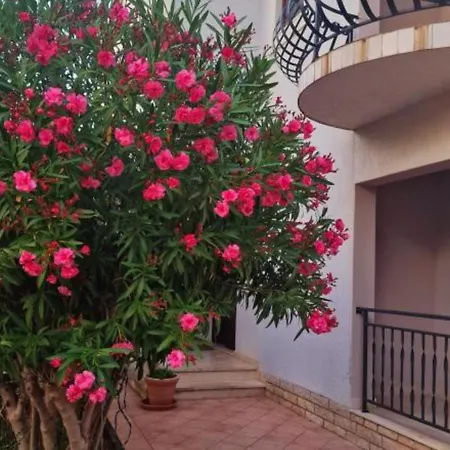 Bed & Breakfast Pansion Belvedere Mali Lošinj