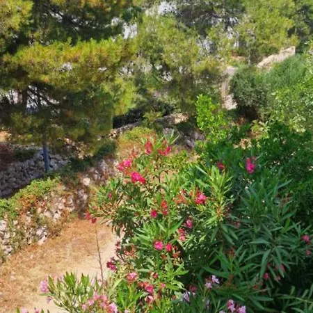 Pansion Belvedere Bed & Breakfast Mali Losinj