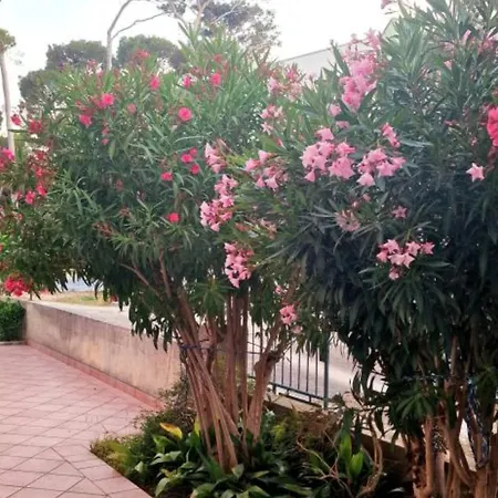 Pansion Belvedere * Mali Losinj