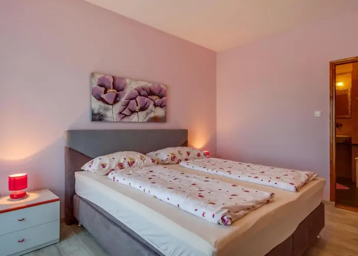 Bed & Breakfast Pansion Belvedere