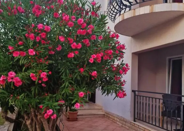 Bed & Breakfast Pansion Belvedere Mali Losinj
