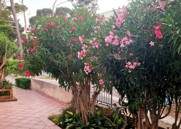 Pansion Belvedere 4* Mali Losinj