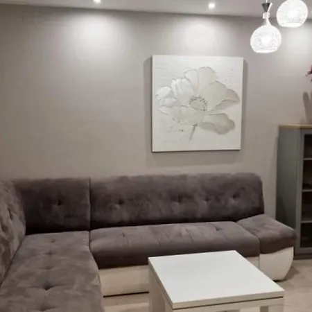 B&B Pansion Belvedere